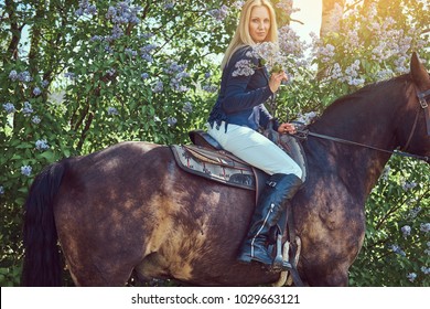 Charming Woman Riding Brown Horse Stock Photo 1029663121 | Shutterstock