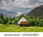 A charming wooden cottage in Tara, Serbia, surrounded by a vibrant meadow and the serene Zaovine Lake, perfect for a summer hiking trip