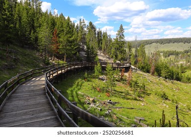 Charming wooden path winding through dense woods. Tall trees surround the path, their leaves forming a canopy overhead. The scene exudes tranquility and adventure, inviting exploration of the forest.  - Powered by Shutterstock