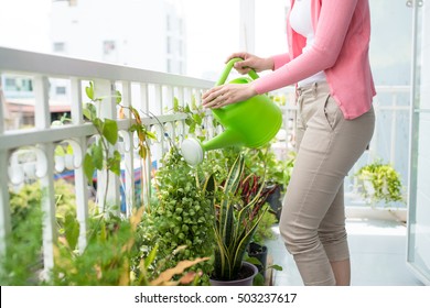Charming Young Asian Woman Watering Plant In Container On Balcony Garden