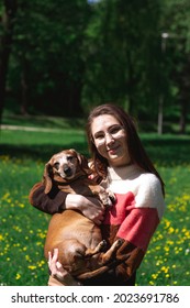 Charming Young Lady Dressed In Coloful Sweater Holding Daschund Dog And Kissing. Animal Love Concept