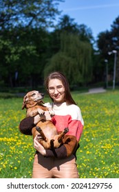 Charming Young Lady Dressed In Coloful Sweater Holding Daschund Dog And Kissing. Animal Love Concept