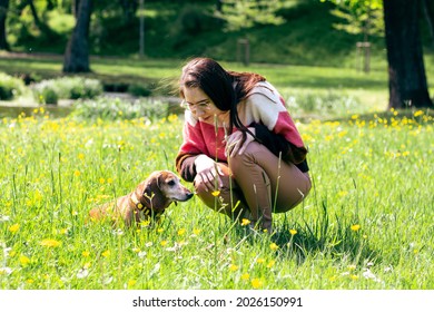 Charming Young Lady Dressed In Coloful Sweater Playing With Her Daschund Dog. Animal Love Concept