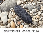 A charred black rock resting among smooth, multicolored pebbles along the riverbank, creating a stark contrast of textures