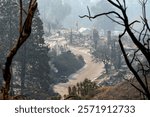 A charred car sits among the ruins of homes destroyed by the Palisades Fire in the Pacific Palisades neighborhood of Los Angeles, California.