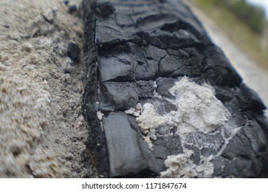 Charred Remains Burnt Branch Stock Photo 1171847674 | Shutterstock