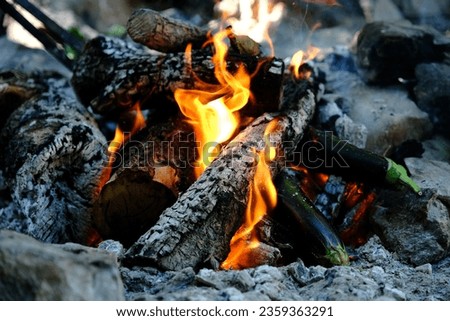 Charred wood pieces and eggplant on hot embers