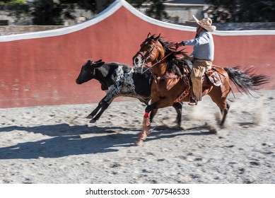 Charreria: A Mexican Rodeo