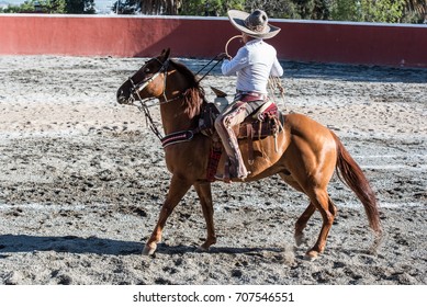 Charreria: A Mexican Rodeo