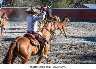 Charreria: A Mexican Rodeo