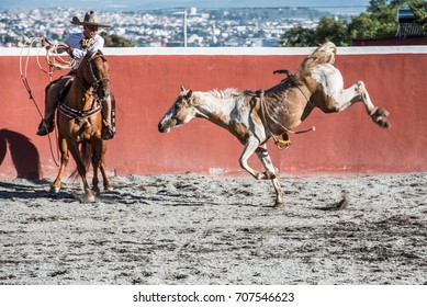 Charreria: A Mexican Rodeo