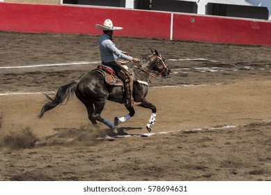 Charro With Running Horse