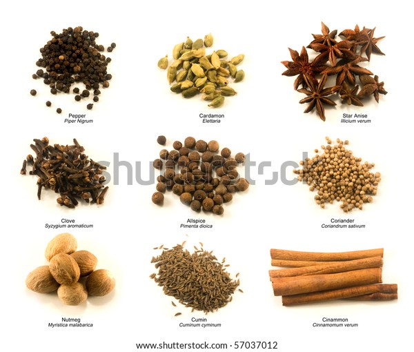Spices Chart For Food