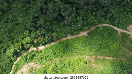 Chart an uncharted course with this immersive top-down drone perspective following a rugged, unpaved clay track cutting a path through undulating wild green bushes and grassy hillsides. The organic topography displays beautiful shade variations of emerald and lime foliage, with a subtle peak of an industrial lattice power pylon steel framework breaking through on the lower left corner. An excellent graphic asset for hiking trail guides, wilderness land management brochures, eco-adventure mapping, and rustic countryside transport themes.