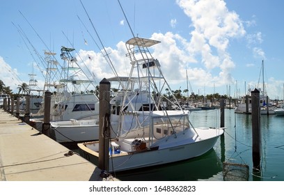 Charter Sports Fishing Boats Docked At A Key Biscayne,Florida Marina.