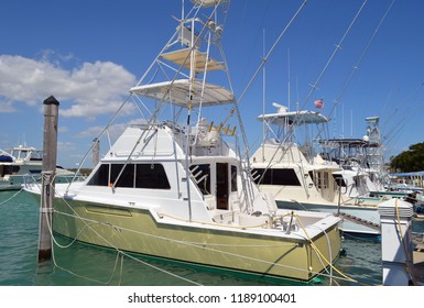 Chartered Fishing Boats At A Marina In Southeast Florida