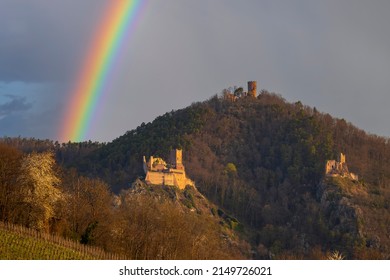 Chateau de Saint-Ulrich ruins, Chateau du Girsberg ruins and Chateau du Haut-Ribeaupierre near Ribeauville, Alsace, France