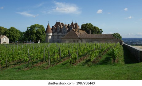 Chateau Monbazillac, Dordogne France. June 6th 2021. The Chateau Monbazillac and vineyards on a sunny day.