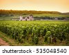 burgundy france vineyard