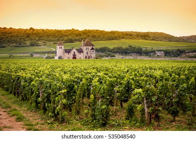 Chateau With Vineyards, Burgundy, France