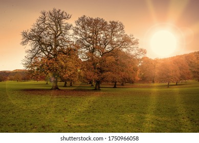 Chatsworth House Sunset In Autumn