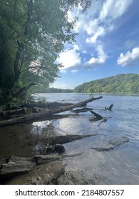 Chattahoochee River Bank With Driftwood