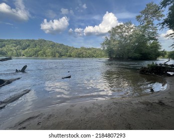 Chattahoochee River Riverbank With Driftwood.