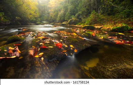 The Chattooga River winds through Western North Carolina's temperate rain forests in autumn