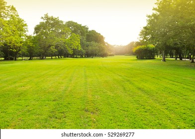 Natural Green Grass Field Sunrise Stock Photo 1038896962 | Shutterstock