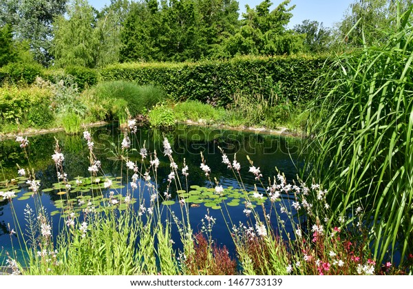 Festival International Des Jardins De Chaumont Sur Loire