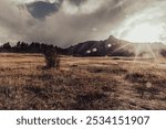 Chautauqua park leading up to the FlatIrons