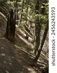 Chavez and Beaver Brook Trail Loop, Golden, Colorado, USA 