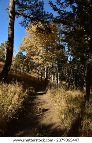 Chavez and Beaver Brook Trail Loop, Golden, Colorado, USA