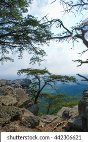 Cheaha State Park