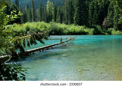 Cheakamus Lake