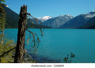 Cheakamus Lake