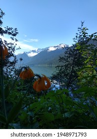 Cheakamus Lake In The Sun