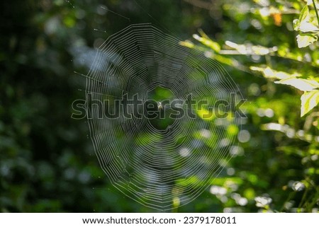 Similar – Foto Bild Einzelgänger Umwelt Natur