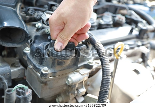 Check the engine oil system, professional\
technicians, working, checking the condition of the car, repairing\
the damaged engine.