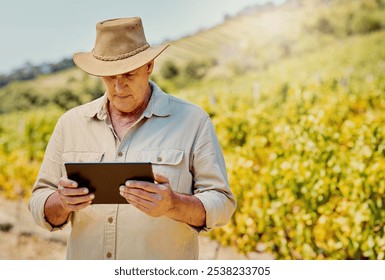 Check, farmer and man with tablet in vineyard, small business and sustainable growth for plants. Farming, male person and senior owner with digital for quality control, agriculture or wine production - Powered by Shutterstock