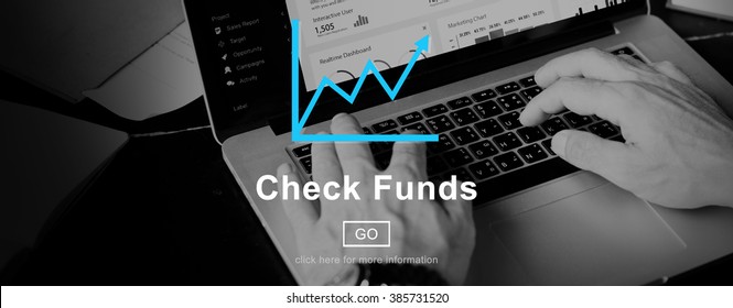 Check Funds Progress Chart Interface Concept
