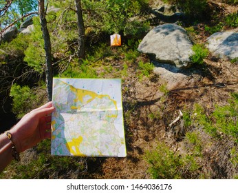 Check The Map Within Orienteering Run.  Sportsman Running In Difficult Rocky Terrain.