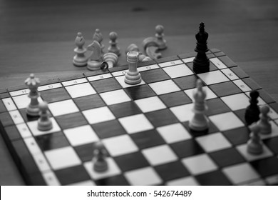 Check Mate On Black King Real Game