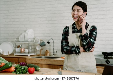 Check recipe online phone call. Young pretty asian chinese woman talk on smartphone in modern kitchen while preparing dinner. beautiful housewife in apron smiling chatting on cellphone with friend. - Shutterstock ID 1741887176