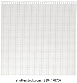 Checked White Paper Natural Texture Background Vintage Pattern Large Old Notebook Page Chequered Ring Binder A4 Copy Space Horizontal Grey Squared Maths Notepad Torn Isolated Blank Empty Closeup