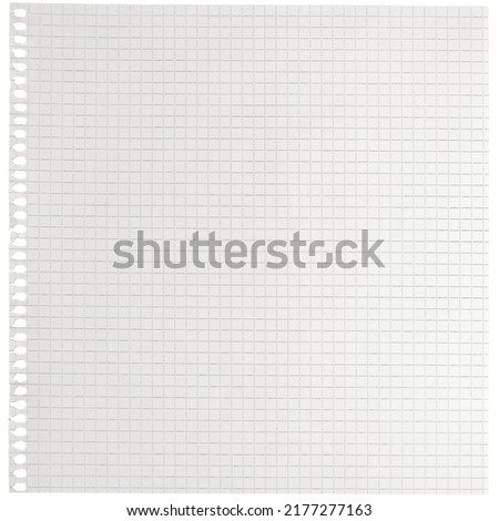 Checked white paper natural texture background vintage pattern, large old spiral notebook page chequered ring binder A4 copy space vertical grey squared maths notepad torn isolated blank empty closeup