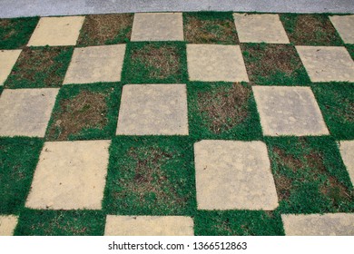 Checker board pattern square-shaped paving in turf, Sustainable design of path and walk way. Modern landscape design concept.
