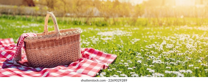 Checkered picnic duvet with empty basket on the blossoming meadow.