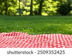 Checkered picnic tablecloth on green grass, closeup. Space for text