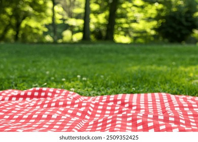 Checkered picnic tablecloth on green grass, closeup. Space for text - Powered by Shutterstock